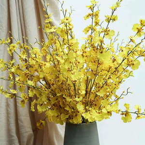 跳舞兰鲜花速递高端花材文心兰鲜切花卉家庭插花水养室内顺丰包邮