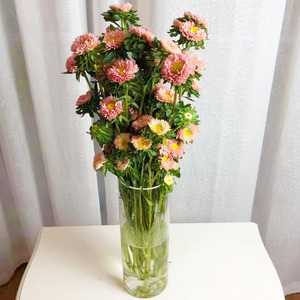 多色小翠菊鲜花云南直发家庭水养小菊花鲜切花顺丰包邮速递花卉