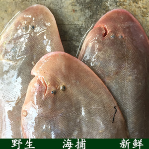 鲜活海鲜 新鲜东海野生 玉秃鱼 龙利鱼 比目鱼 鳎目鱼 舌鳎鱼500g