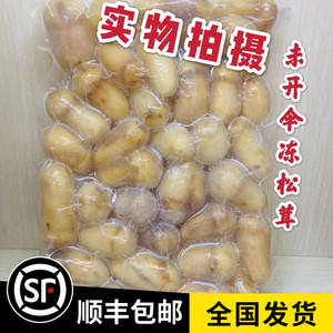 新货云南特产冰鲜速冻松茸 冰冻新鲜未开伞菇5-7香格里拉500g