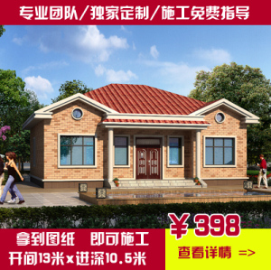 新农村一层自建房小住宅设计图经典别墅户型效果图施工图纸