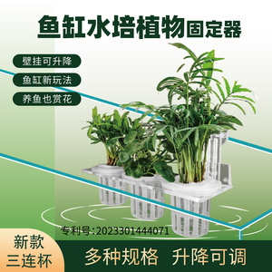 鱼缸水培植物支架定植篮固定水草杯造景绿植壁挂水生种绿萝红薯苗