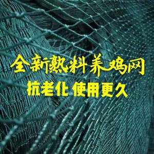 绿养殖网植物爬藤网菜园网拉网防鸟网山养鸡围栏网逮渔鱼网拉网箱