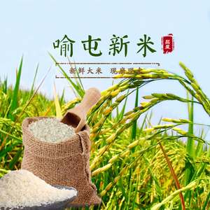 喻屯大米微山湖新鲜香米蒸米一斤1500g当年新米拍优质大米三斤