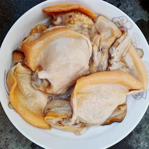 鲜河蚌肉