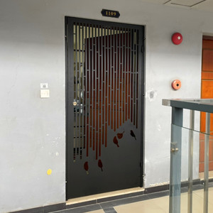 入户镂空防盗过道走廊通风防蚊公寓门夏季透光透气单开门家用定制