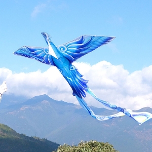 风筝专业高级特技风筝2022新款特大青鸟风筝中国风大人网红专用