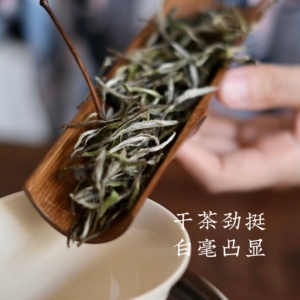 【2022开仓藏茶】福鼎白茶2019年荒野牡丹王 野气十足 500克