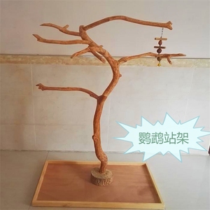 鹦鹉鸟站架树
