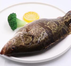 鸭绿江野生冷水鱼专拍连接(直播间专拍请勿随意乱拍)