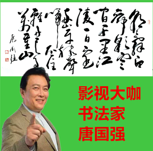 名人字画著名演员唐国强书法体手绘四尺行书名家书画作品收藏