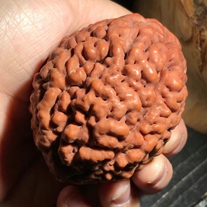 三瓣脑纹金刚爆肉龙纹保健手球按摩球中老年人肌肉放松无齿高密度