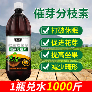 催芽分枝素花卉苗木生根剂生物菌肥多肉茶叶催芽剂植物细胞分裂素