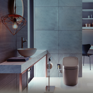 新日本satis赛天思伊奈inax智能连体加热暖风除臭自动马桶坐便器