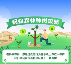 蚂蚁森林9.7kg能量球大抱枕绿色极速10000g包月合种证书道具