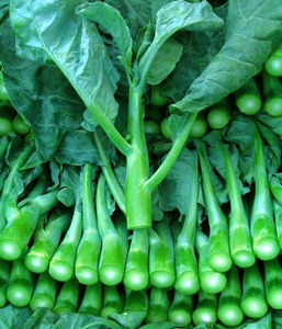 有机绿色蔬菜种子芥蓝种籽多耳芥兰家庭阳台盆栽种植罐装大田专用