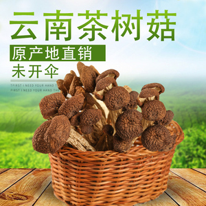 茶树菇干货包邮 云南特产食用菌菇干货（250克/袋）