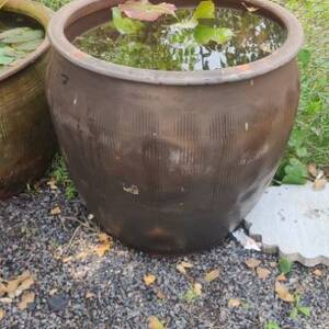 老式土陶无釉大水缸特大号陶瓷泥缸养金鱼庭院睡莲装饰荷花盆瓦.