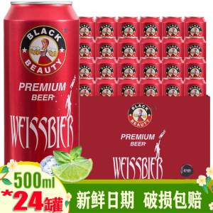 青岛黑啤酒500