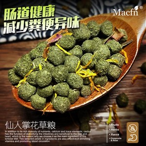 macfn爬宠陆龟粮水果粮仙人掌爬虫陆龟饲料马祖瑞 辐射饲料替代品