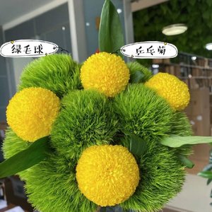 鲜花乒乓菊绿毛球水养混搭插花超长花期客厅办公室昆明直发包邮