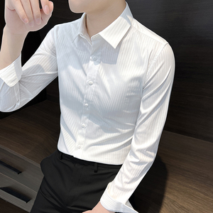 白色高端衬衫男款夏天长袖2024年新款寸衫高级感商务男士条纹衬衣