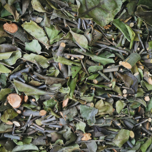 野生黄皮树寄生黄弹寄生黄枇寄生黄弹子寄生王坛子寄生500g包邮