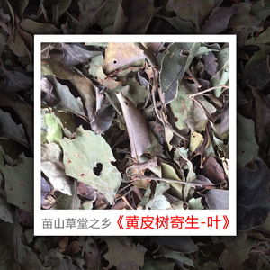 黄皮树寄生