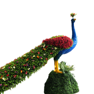 【仿真孔雀造型】仿真孔雀造型品牌,价格 - 阿里巴巴