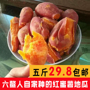 六鳌超甜红薯赤沙沙地红薯新鲜现挖红心地瓜番薯大个六鳌红蜜薯