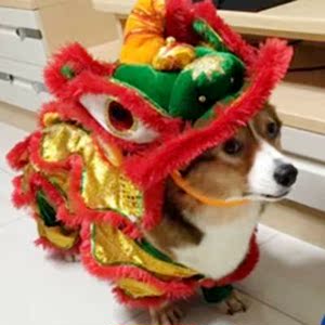 抖音同款舞狮狗柯基狗狗衣舞宠物狮子衣服斗搞怪装法迪小泰猫秋冬