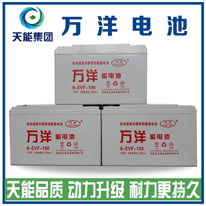 万洋60v电动车72电池电动汽车巡逻观光车非超威12v6ev