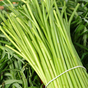 当季芦蒿南京黎耗藜蒿农家篱蒿泥蒿新鲜蔬菜现采去叶去根