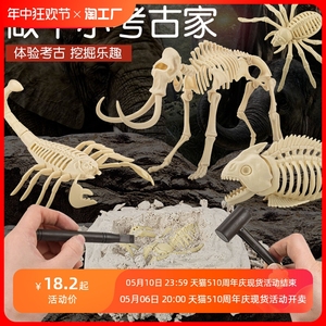 恐龙化石儿童考古挖掘玩具石膏霸王龙猛犸象骨架拼装标本摆件模型
