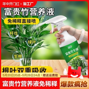 养富贵竹营养液免稀释专治黄叶生根转运竹龙竹观音竹水培植物专用
