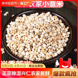 小薏米贵州兴仁农家新鲜生小薏仁米中药材用新货2023新米红豆绿豆
