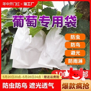 葡萄套袋葡萄专用防虫防鸟袋子水果保护袋包葡萄用纸袋葡萄防水袋