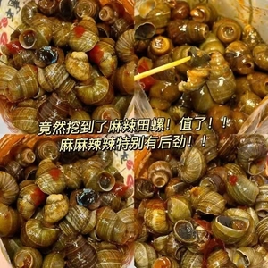 麻辣田螺开袋即食香辣螺蛳螺丝肉口味嗦螺批发海鲜小吃熟食辣味