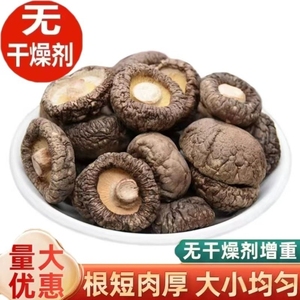 干香菇干货厚肉小蘑菇冬菇珍珠菇花菇菌菇火锅食材营养美味美食