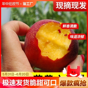 现摘现发黄心油桃新鲜5斤当季孕妇水果桃子脆甜可口产地直发