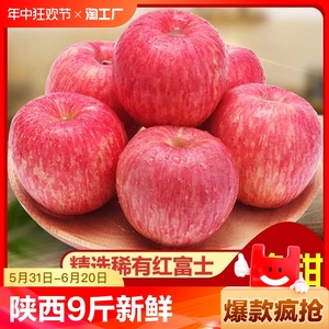 陕西红富士苹果水果新鲜应当季丑萍果整箱苹果批发大脆甜冰糖心果