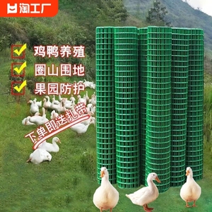 小孔铁丝网养殖网菜园防护网鸽兔笼网阳台防猫鼠网荷兰网养鸡简易