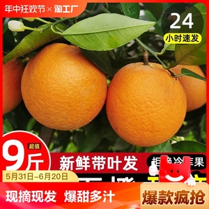 广西桂林夏橙新鲜水果橙子当季整箱手剥橙榨汁橙孕妇脐橙包邮大果
