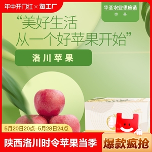华圣陕西洛川红富士时令苹果当季新鲜水果冰糖心脆甜一提就走礼盒