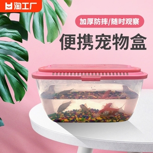 手提饲养盒金鱼乌龟缸塑料蝌蚪宠物盒透明客厅办公室桌面养鱼小型