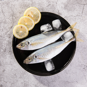 东山岛野生巴浪鱼蓝圆鲹刺巴棍子池鱼黄占池仔海鲜水产氨基酸3斤