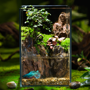 002人付款淘宝盆景花盆造景人物大摆件微景观鱼缸装饰品陶瓷公仔禅意