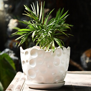 陶瓷清仓特大号带托盘个性圆形多肉花盆单个大号复古花盆