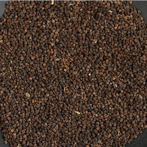 中药材白花菜籽 白花菜子 臭花菜籽 正品野生 人工挑选新货