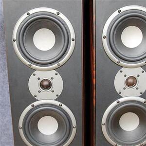 二手原装英国诺特nodal mass 25哑铃式双6.5中低音落地音箱音响